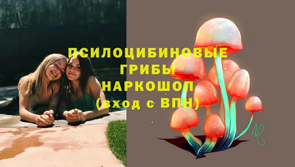 соль курить ск Верея