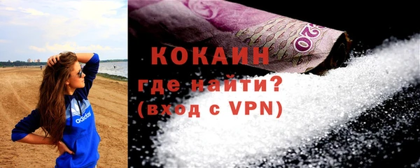 индика Сосновоборск